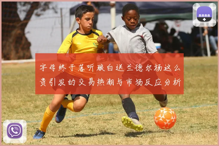 字母终于落听狼白送兰德尔杨这么贵引发的交易热潮与市场反应分析